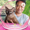 นายไชยา เสนแสนยา